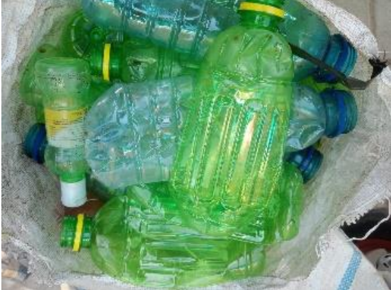 PET WARNA BERSIH